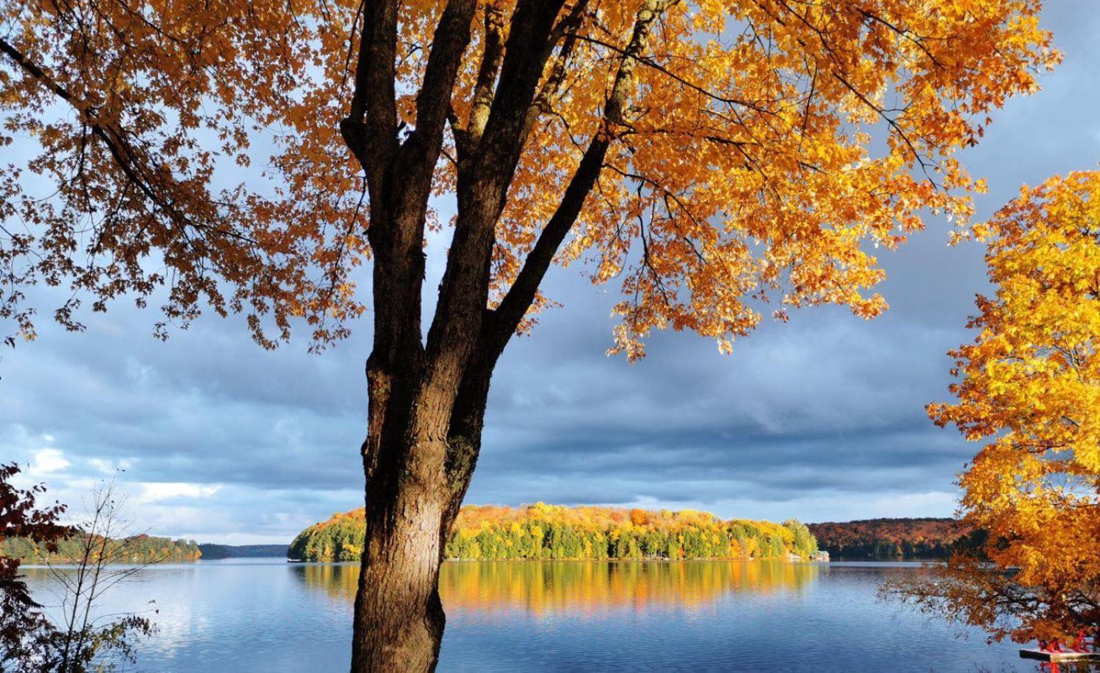 Отель Muskoka Escape Порт-Карлинг Экстерьер фото